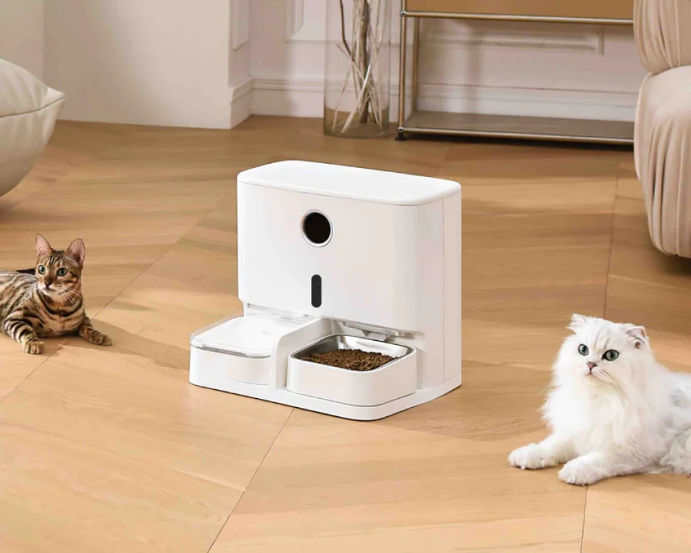 dog food feeder automatic